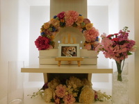 水戸市愛犬金太郎ちゃん