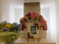 水戸市愛鳥ヤスちゃん