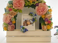 ひたちなか市愛犬こうめちゃん