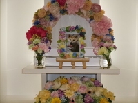 水戸市ハムスター・アムちゃん