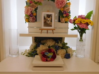 水戸市愛犬チョコちゃん