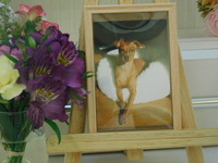 桜川市愛犬マロンちゃん