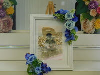 水戸市ハムスター・むぎちゃん