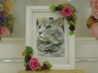 城里町愛猫ブルちゃん