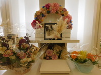 水戸市愛犬ヒョロ助ちゃん