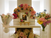 水戸市愛犬ROSSOちゃん