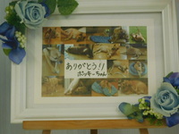 水戸市愛犬ポッキーちゃん