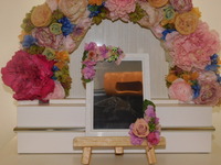 水戸市愛犬ルルちゃん