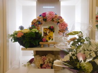 水戸市愛犬クーちゃん