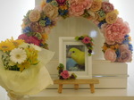 水戸市セキセイインコ・ソーちゃん