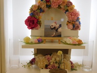 水戸市愛犬パンチェッタちゃん