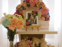 水戸市愛猫蓮ちゃん