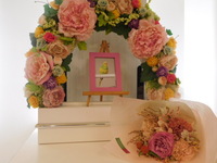 水戸市インコぴのこちゃん