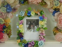 水戸市ハムスターココちゃん