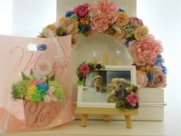 常陸大宮市愛犬もかちゃん