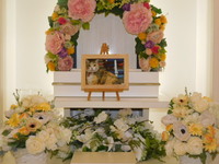 ひたちなか市愛猫ポンチョちゃん