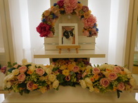 水戸市愛犬シトラスちゃん