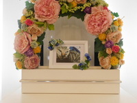 水戸市愛猫そらちゃん