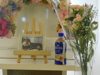 水戸市愛犬カズちゃん