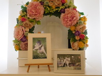 那珂市愛犬ジャナイちゃん