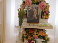 水戸市愛犬ハルちゃん