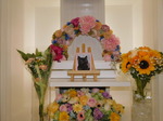 日立市愛猫にゃあーちゃん
