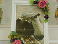 石岡市チンチラもちまるちゃん