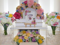 石岡市愛犬風太ちゃん