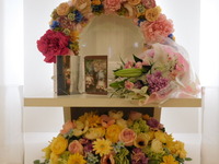 水戸市愛犬ベルちゃん