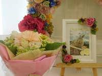 那珂市愛兎コニーちゃん