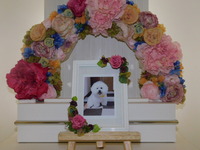 水戸市愛犬ソワちゃん