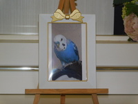 水戸市愛鳥ピーちゃん