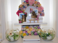 水戸市愛犬チョコちゃん