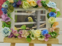 石岡市セキセイインコ・次郎ちゃん