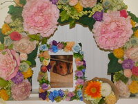 ひたちなか市ゴールデンハムスター・おもちちゃん