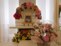 ひたちなか市愛兎ロゼアちゃん