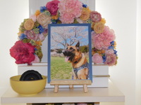 笠間市愛犬モフちゃん