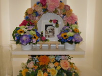 城里町愛犬ぽん太ちゃん