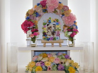 水戸市ジャンガリアンハムスター・レンレンちゃん