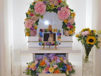 笠間市愛猫レオンちゃん