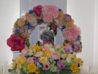 那珂市愛犬キャンディーちゃん