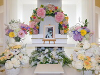 常陸大宮市愛猫マリンちゃん