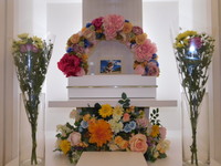 水戸市愛犬ロミオちゃん