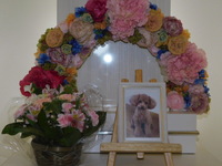 石岡市愛犬ベリーちゃん