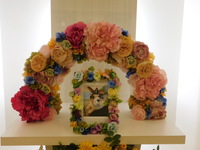 ひたちなか市愛猫ふぅちゃん