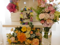 水戸市愛猫ぷりんちゃん