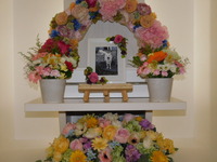 水戸市愛犬はなちゃん