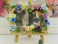 ひたちなか市愛犬ブッチちゃん