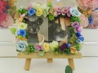 ひたちなか市愛犬ブッチちゃん