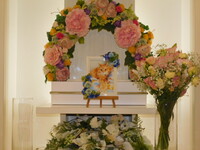 水戸市愛猫マコちゃん